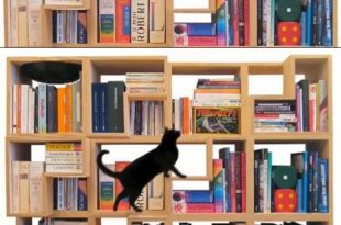 A Bookcase For You And Your Cat | Modular bookshelves, Creative .