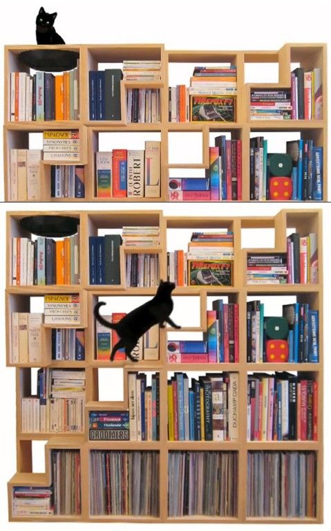 A Bookcase For You And Your Cat | Modular bookshelves, Creative .