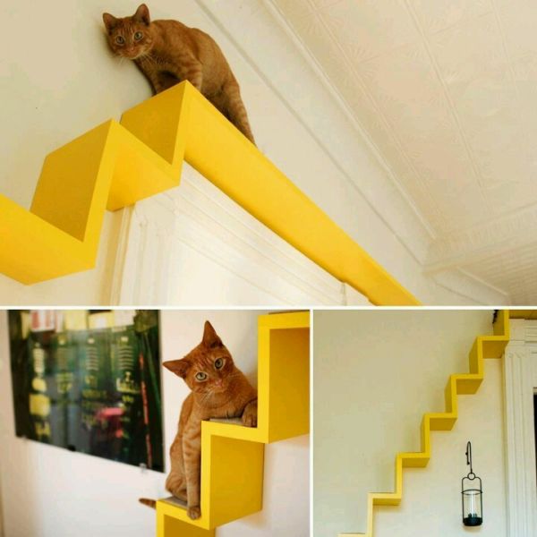 Take The Time To Build Cat Shelves: Fun For Both You And Your P