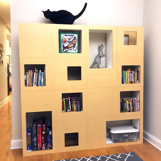 Introducing the Cat Case Modular Bookshelf with Hidden Cat .