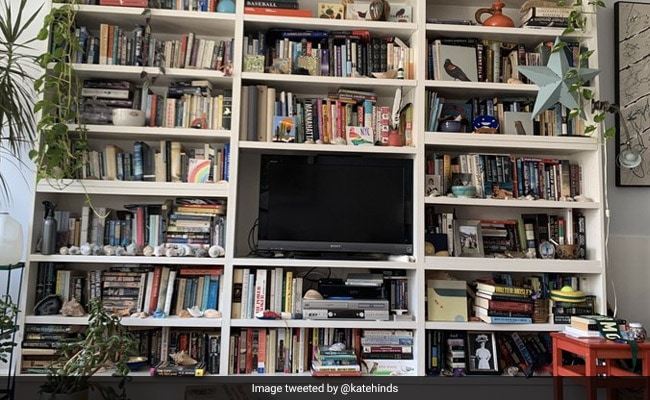 How Quickly Can You Find The Cat Hiding In This Viral Pictur