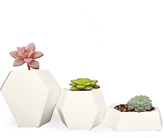 Amazon.com: TSY Ceramic Succulent Plant Pots Modern Flat Geometric .