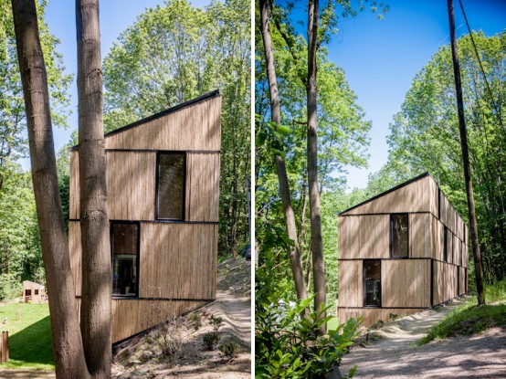 Bamboo-Clad House With Energy-Efficient Solutions - DigsDi
