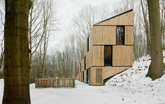 Bamboo Clad House With Energy Efficient Solutions