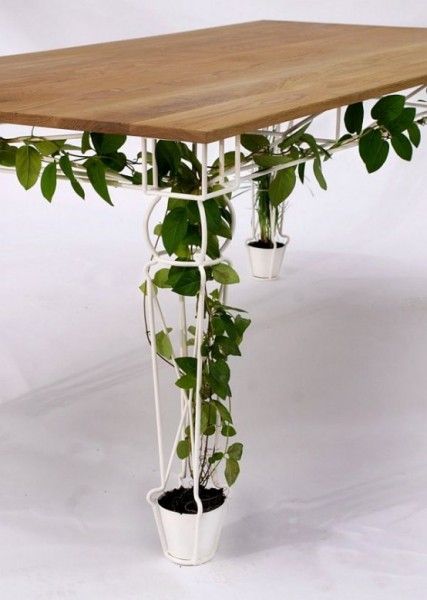 Beautiful Table With Legs For Growing Plants | Indoor vines, Plant .