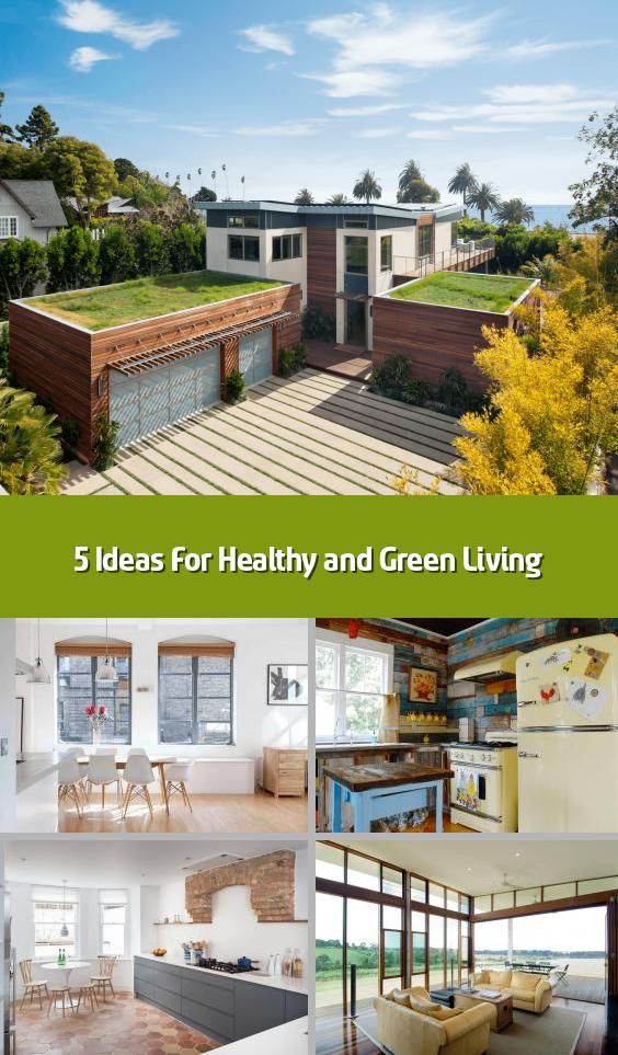 5 Ideas For Healthy and Green Living - The idea of healthy and .