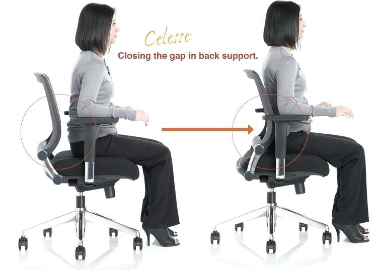 Make use of back support office chair - yonohomedesign.com .