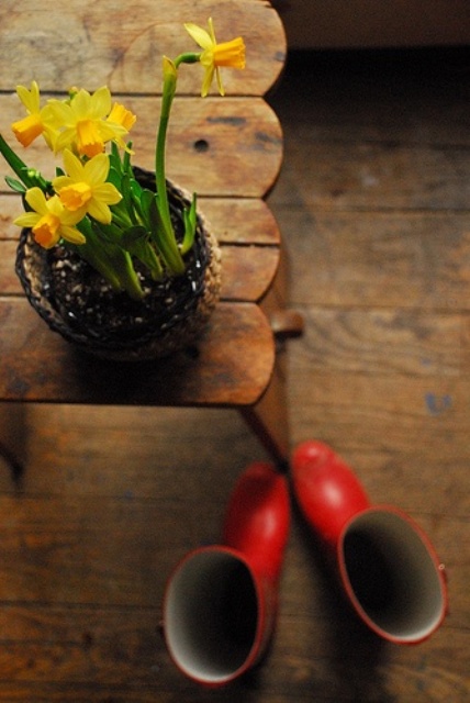 32 Cool Daffodils Décor Ideas To Welcome Spring - DigsDi