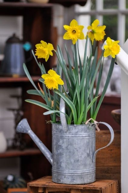 32 Cool Daffodils Décor Ideas To Welcome Spring | Spring flower .
