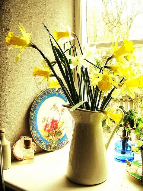 Cool Daffodils Decor Ideas To Welcome Spring | Daffodils .