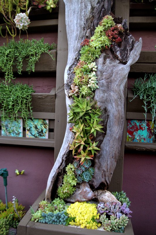 11 Pictures of Crazy Cool Uses for Tree Stumps | Hometa