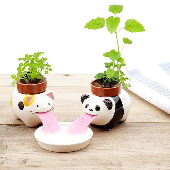 Super Cute Self-Watering Pots Look Like Little Animals Drinking .
