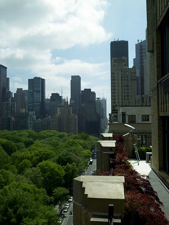Donna Karan's Manhattan Apartment - DigsDi