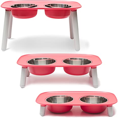 Pet Supplies : Messy Mutts Elevated Double Feeder with Stainless .