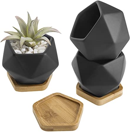 Amazon.com: MyGift Black Ceramic 3-Inch Geometric Mini Succulent .