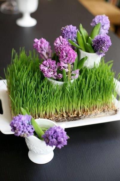 29 Fresh Wheatgrass Home Décor Ideas To Try In Spring .