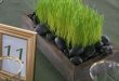 29 Fresh Wheatgrass Home Décor Ideas To Try In Spring | DigsDigs .