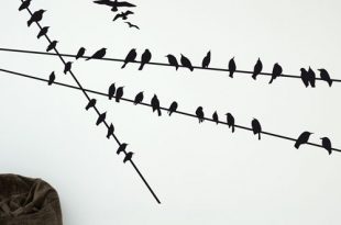 Funny Wall Stickers for Cat and Bird Lovers - DigsDi