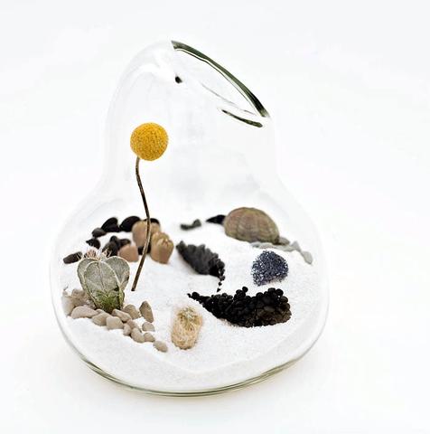 LÍtill Terrariums-Tiny, Living Sculptures | Plant Par