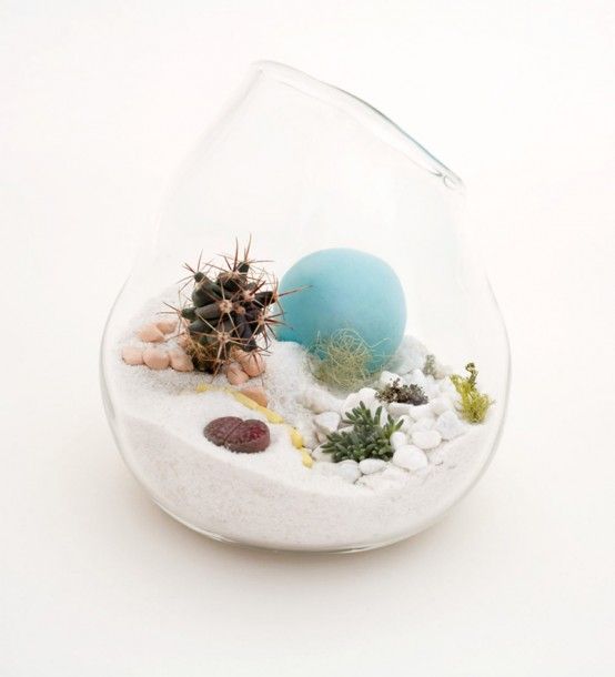 terrarium | Mini terrarium, Beautiful terrariums, Hand blown gla