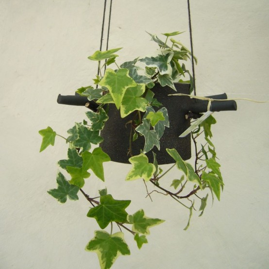 Hanging Flower Pots With Horns From Which They Hangs - DigsDi