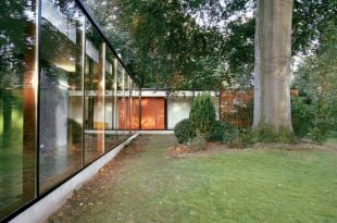 House With Glass Front and Very Old Beech Tree On The Site - DigsDi