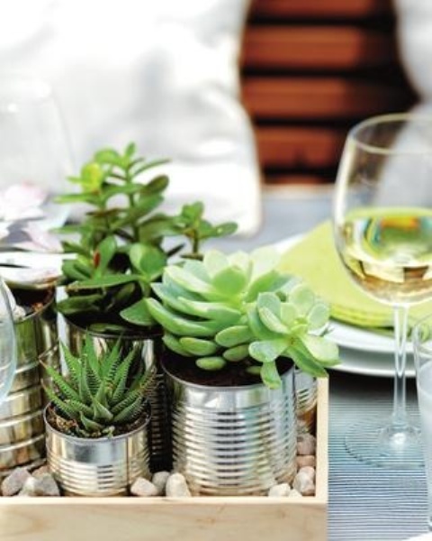 How To Display Succulents: 30 Cute Examples - DigsDi