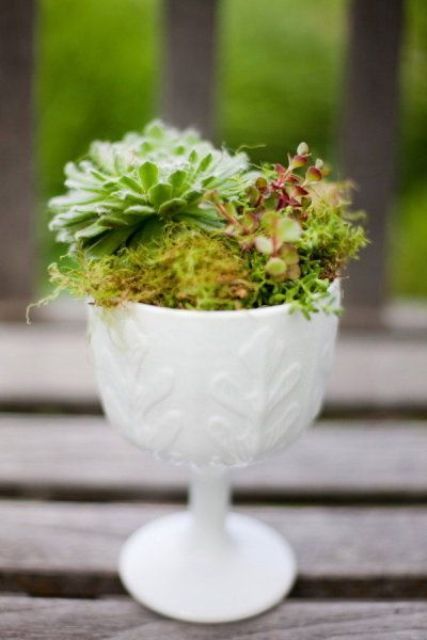 How To Display Succulents: 30 Cute Examples | Succulents, Garden .
