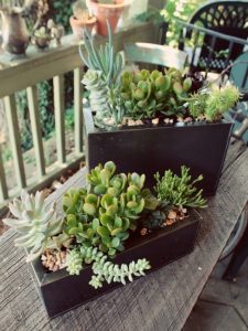 How To Display Succulents: 30 Cute Examples | DigsDigs .