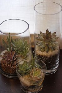 How To Display Succulents: 30 Cute Examples | Succulents in glass .