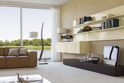 Modern Living Room Storage Organization Ideas | Contemporary .