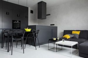 Small Black And White Apartment In Poland Exudes Refined .
