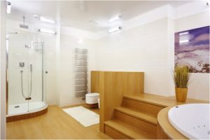 Modern And Cozy Apartment Interior Design with Amazing Bathroom .