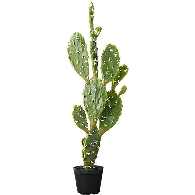 Shop potted 39" faux cactus. Bring home the feel of wide open .