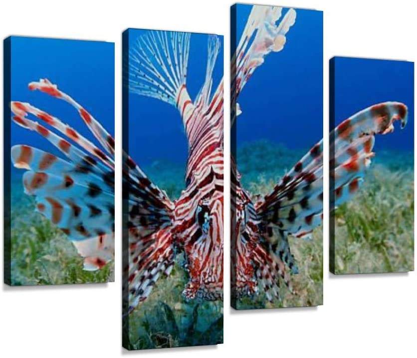 Amazon.com: HIPOLOTUS 4 Panel Canvas Pictures Lionfish and sea .