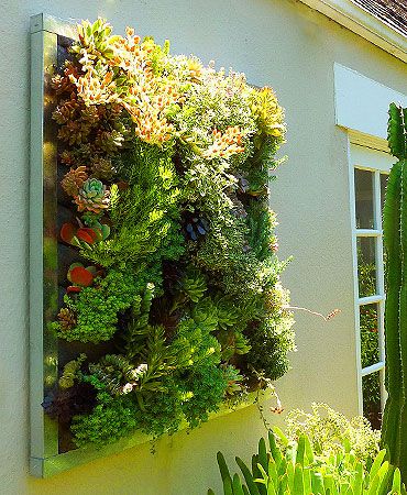 Vertical gardens; living walls... | Vertical garden, Modern .