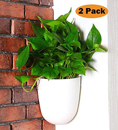Amazon.com: 2 Pack Corner Wall Mounted Hanging Planter Self .
