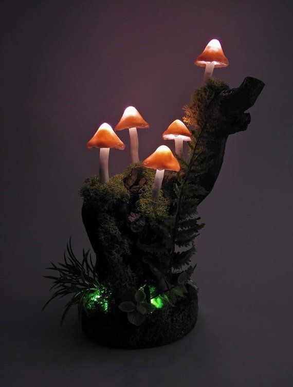 Pilz Lampe, Leucht Pilz, Nachtlicht, Pilz Dekoration, Unikat .