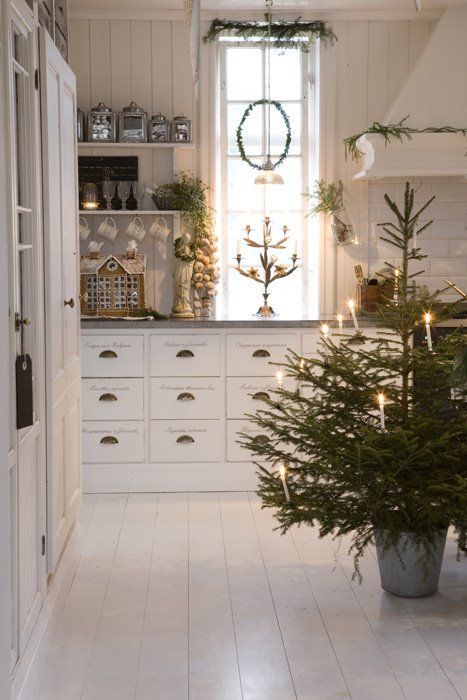 48 Swedish Christmas Decorating Ideas | Potted christmas trees .