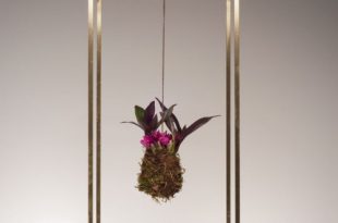 Sculptural Plant Bondage To Bring Nature Inside