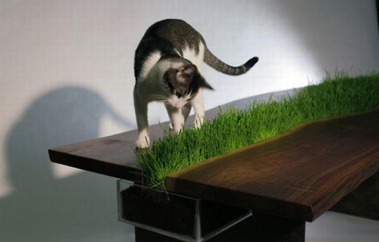 Table With A Planter Through Its Middle | Muebles multifuncionales .