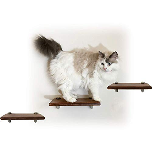 Amazon.com: Contempo Floating Cat Wall Steps - 3pc step shelf set .