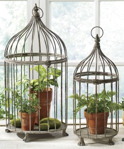 Using Bird Cages For Decor: 46 Beautiful Ideas - DigsDigs | Bird .