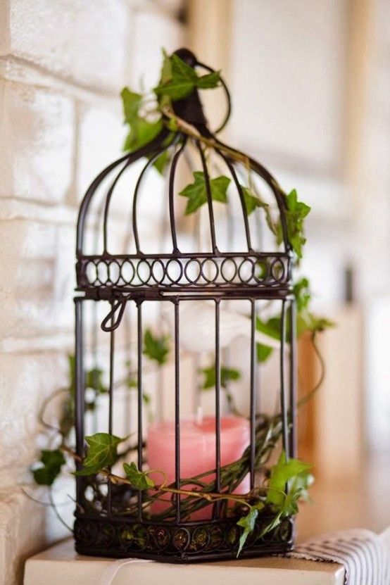 using-bird-cages-for-home-decor-beautiful-ideas-41-554x831.jpg .